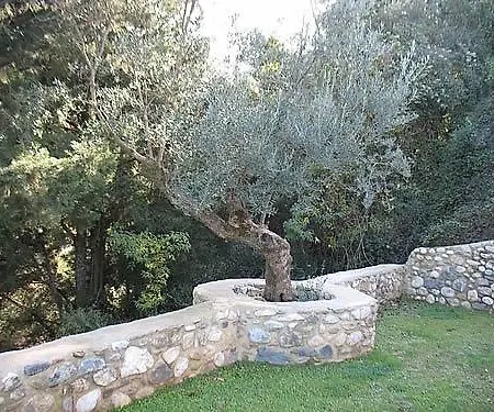 Pikoulianika Mystras